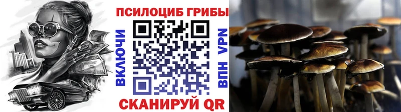 купить  сайты  Сычёвка  Псилоцибиновые грибы ЛСД 